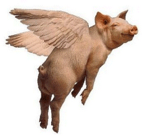 Flyingpig