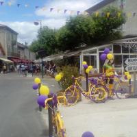 Img 20160617 125330 copy 