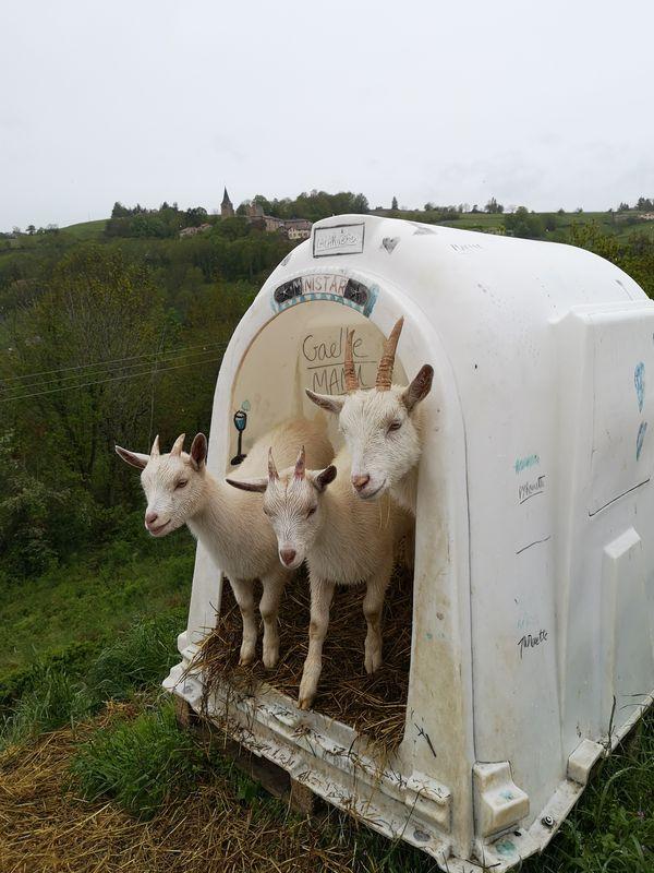 Img 20210515 133825 resultat