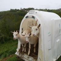 Img 20210515 133825 resultat